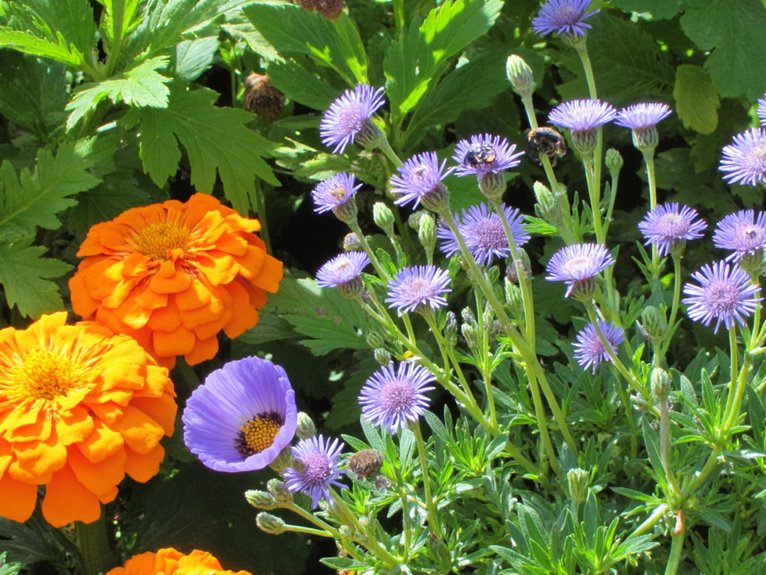 flowers for pest deterrence
