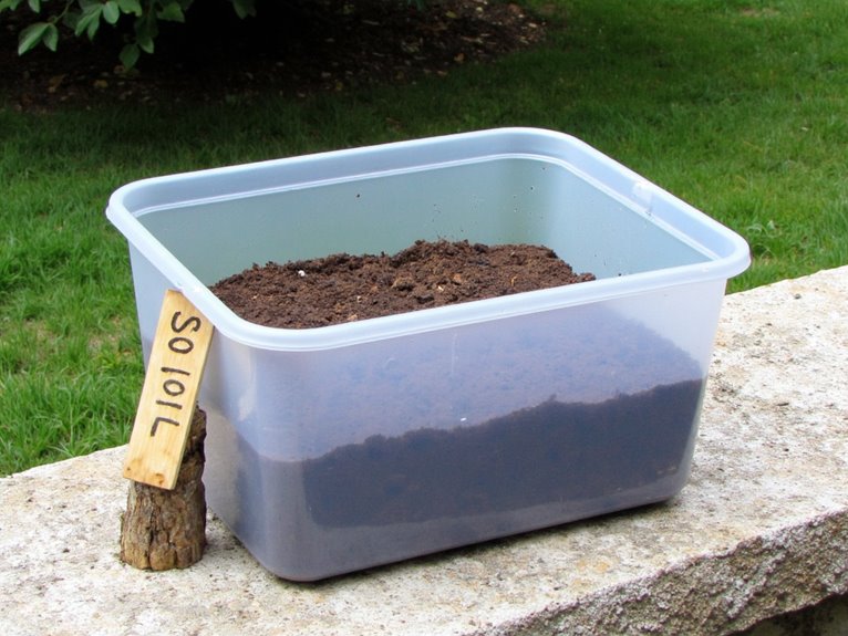 fresh and pest free soil