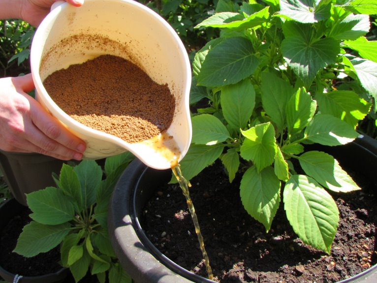 fresh compost tea usage