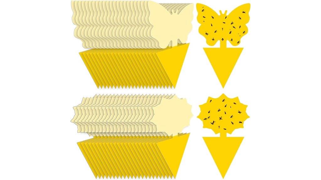 fruit fly sticky traps