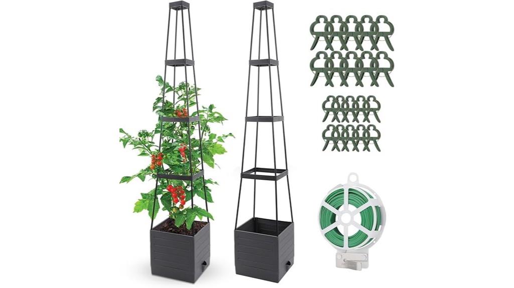 garden bed with trellis