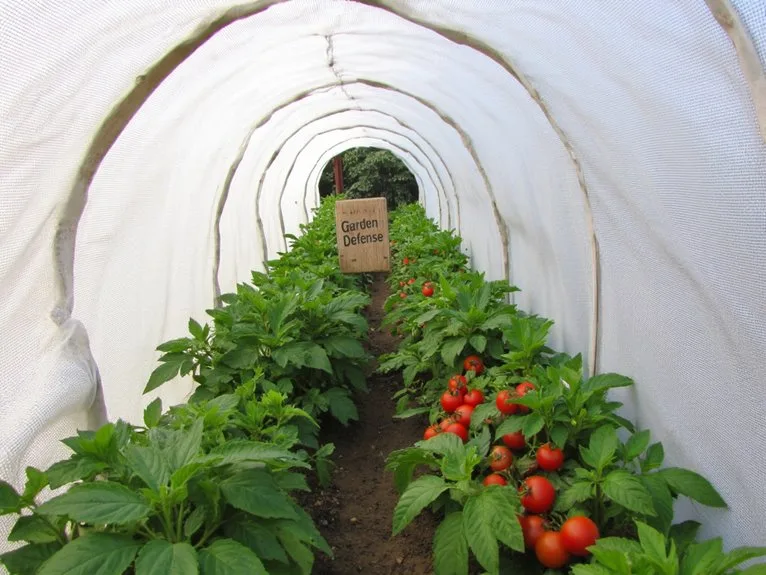 garden pest protection techniques