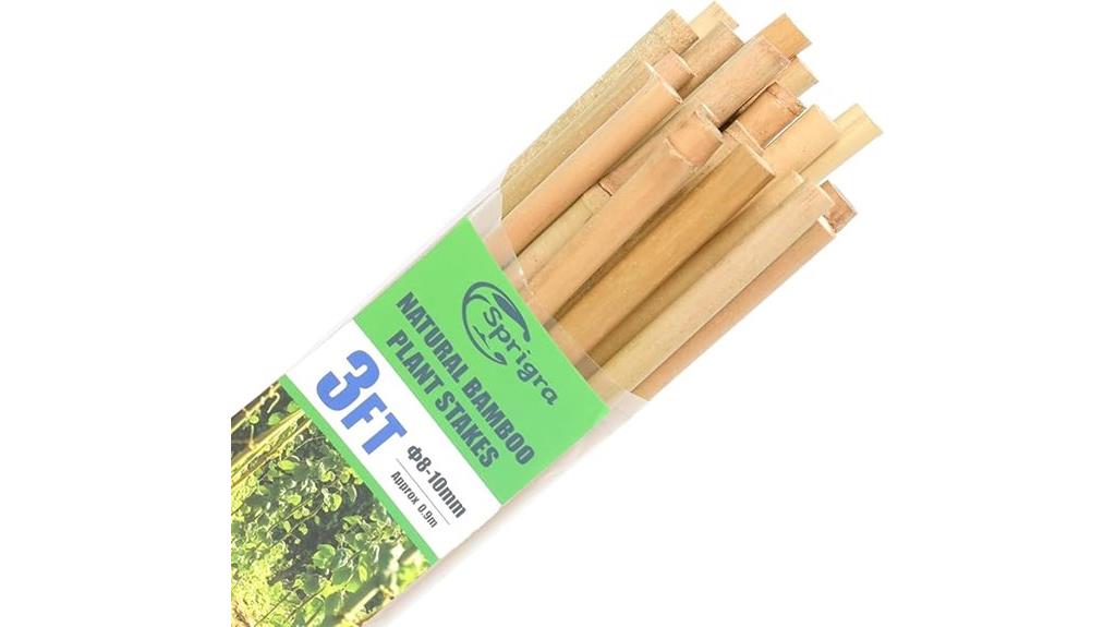 garden plant support stakes