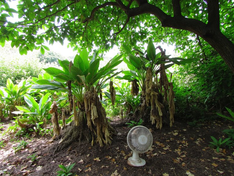 garden plant ventilation solutions