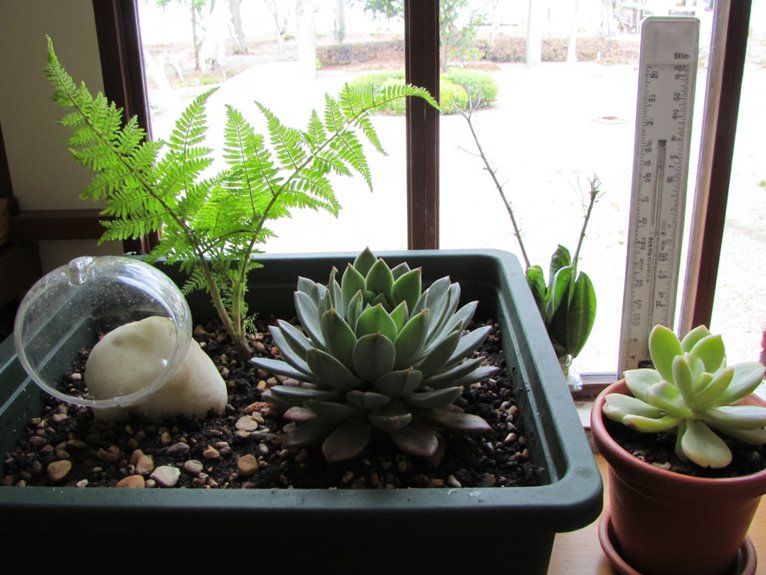 gradual plant environmental adjustment