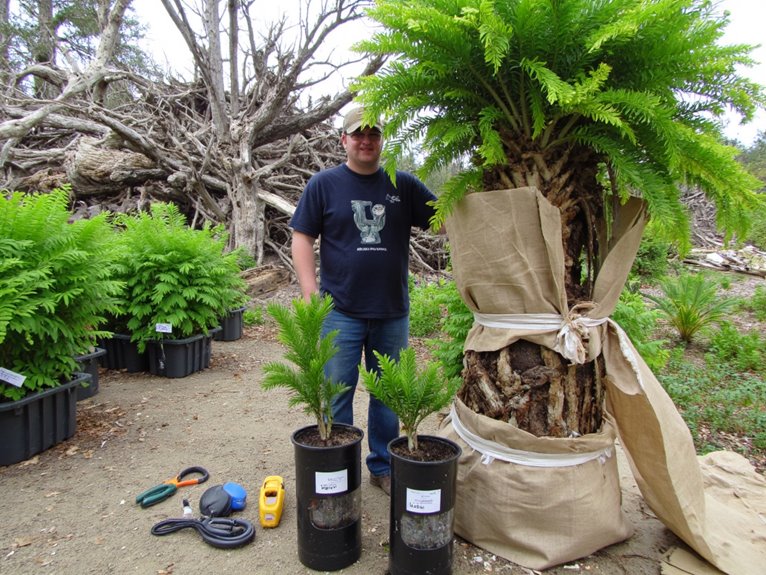 healthy plants during relocation
