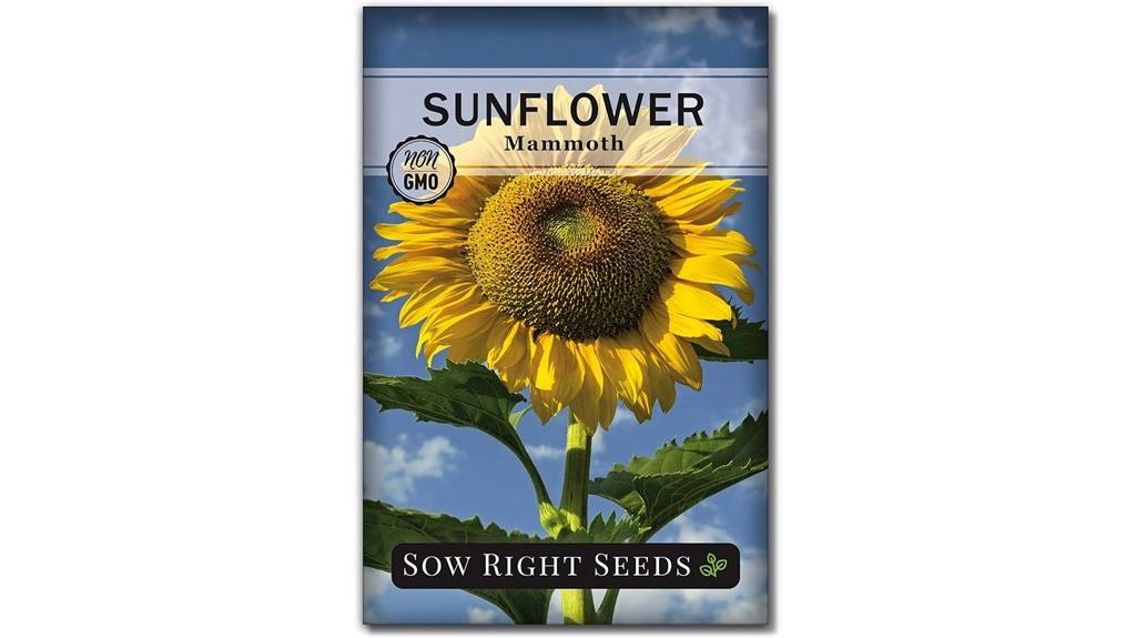 heirloom sunflower seeds planting