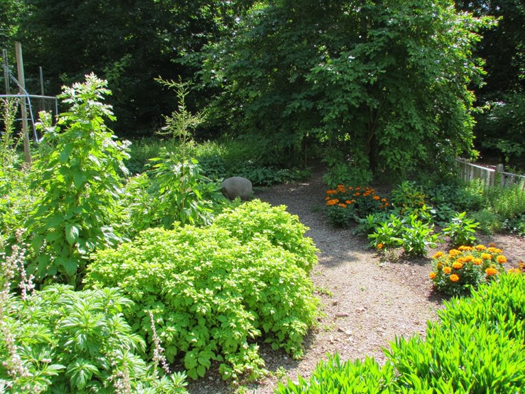 herbs deter garden pests