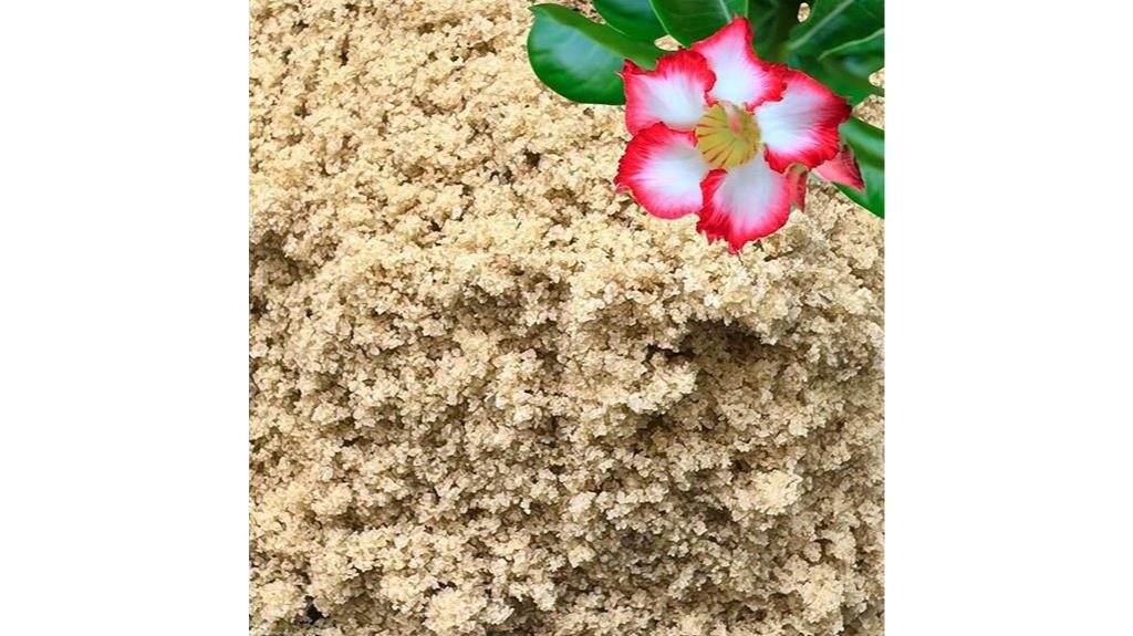 horticultural sand for succulents