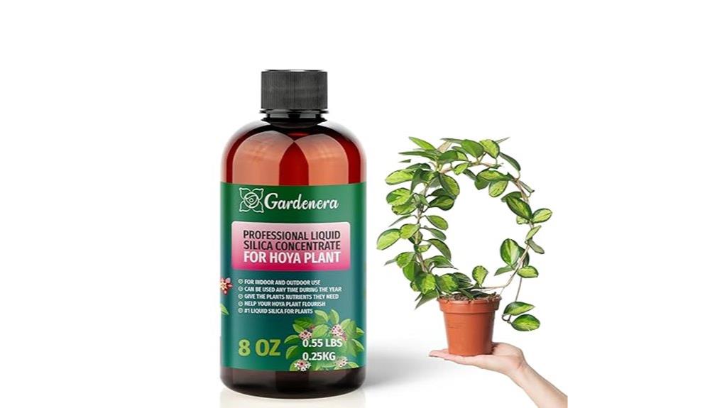 hoya plant silica supplement