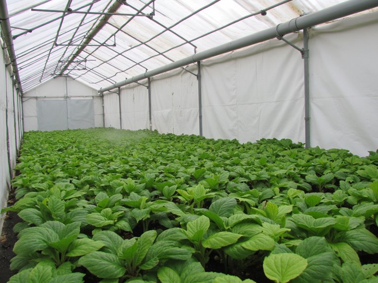 humidity reduction strategies outlined