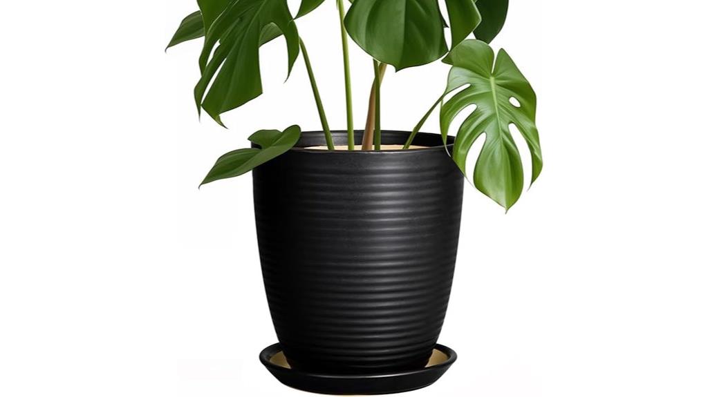 indoor ceramic planter with drainage