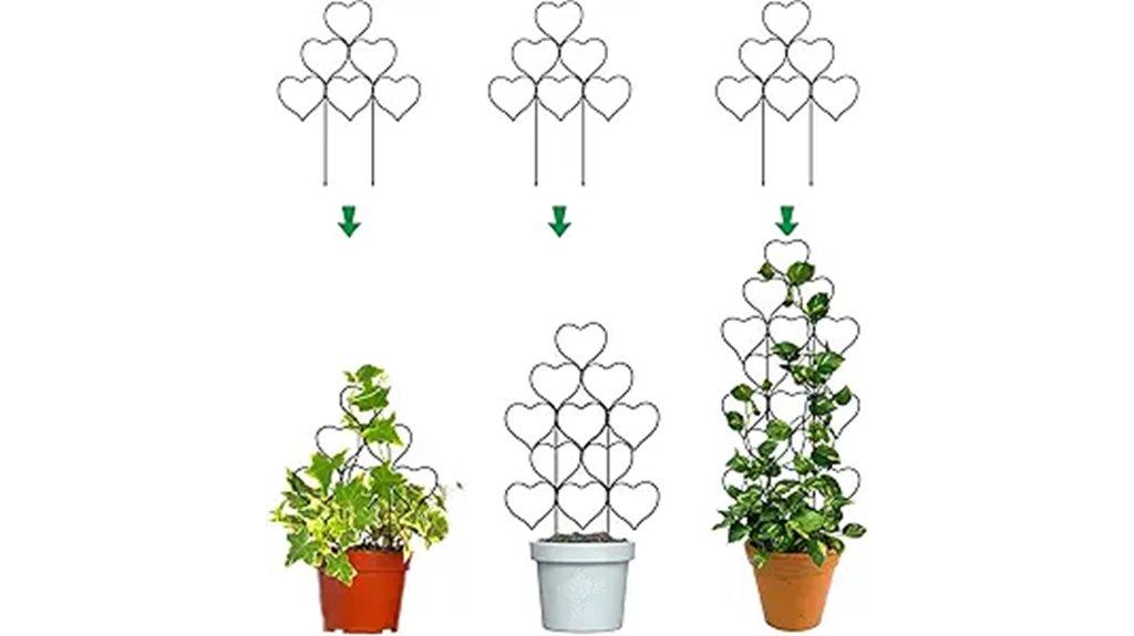 indoor climbing plant support