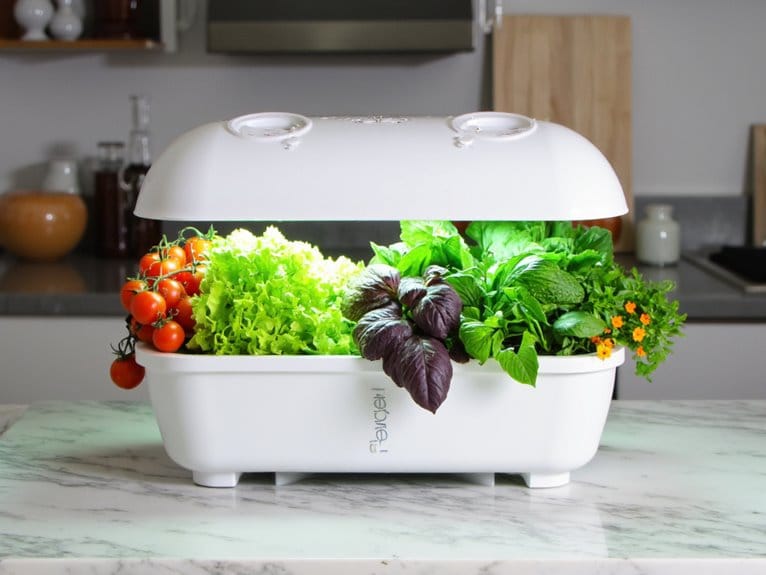 indoor gardening plant selection