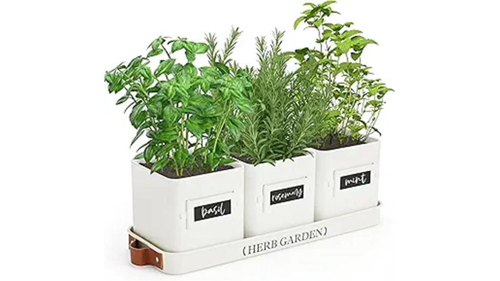 indoor herb garden planter