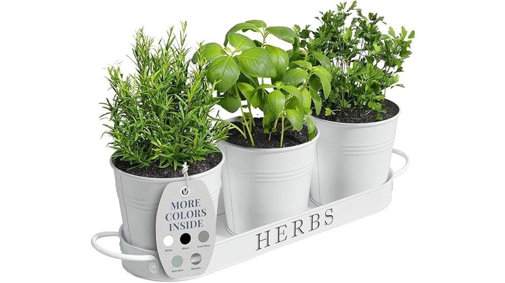 indoor herb garden planters