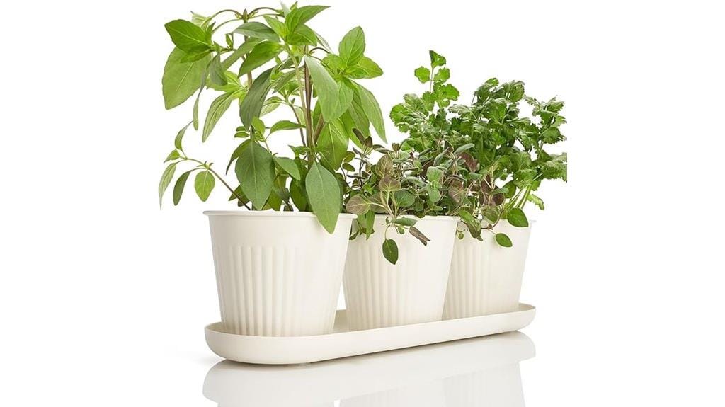 indoor herb garden set