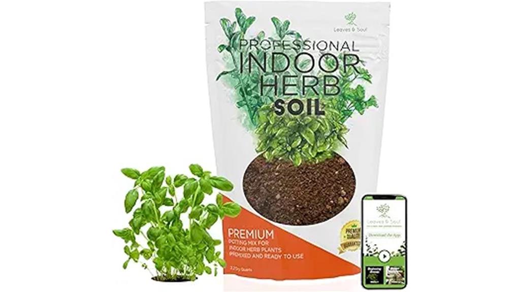indoor herb plant soil