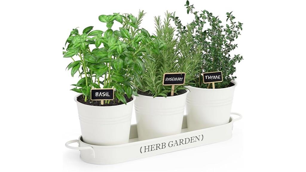 indoor herb planter tray