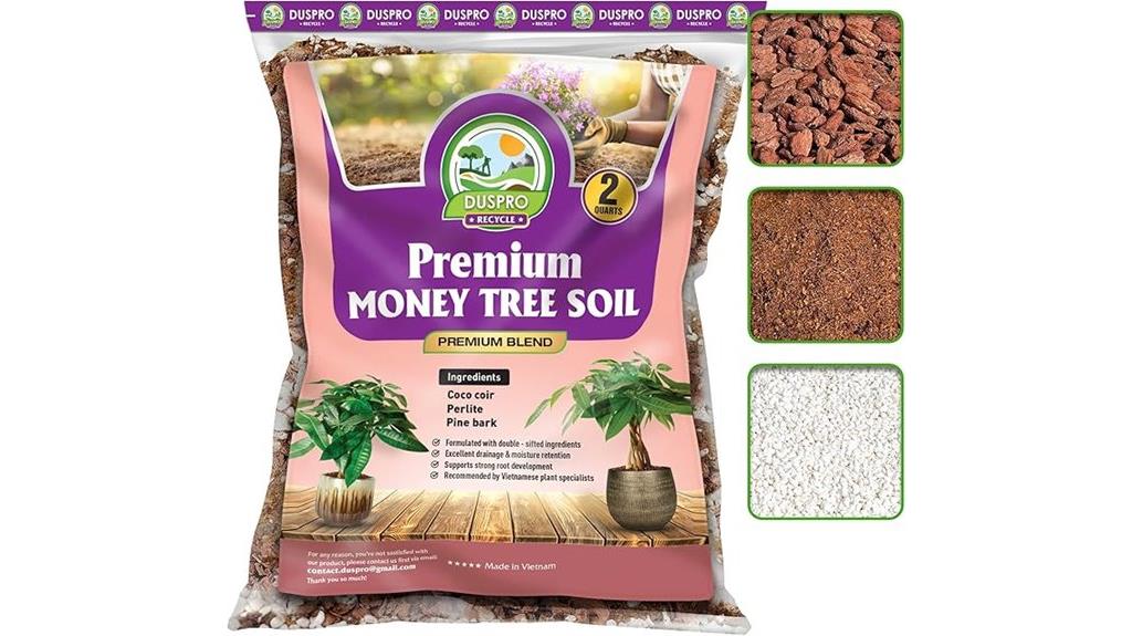 indoor money tree soil