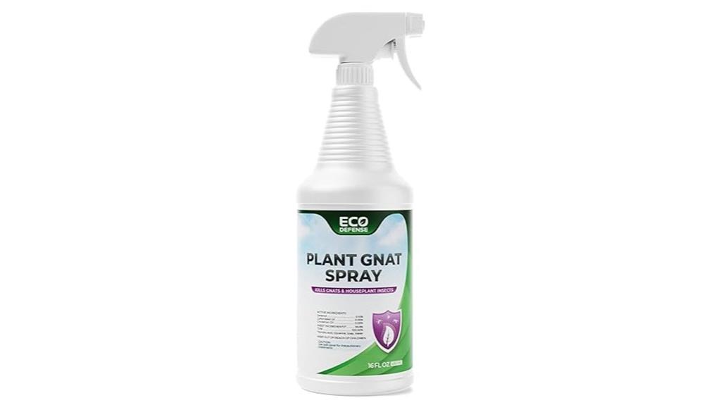 indoor plant gnat control