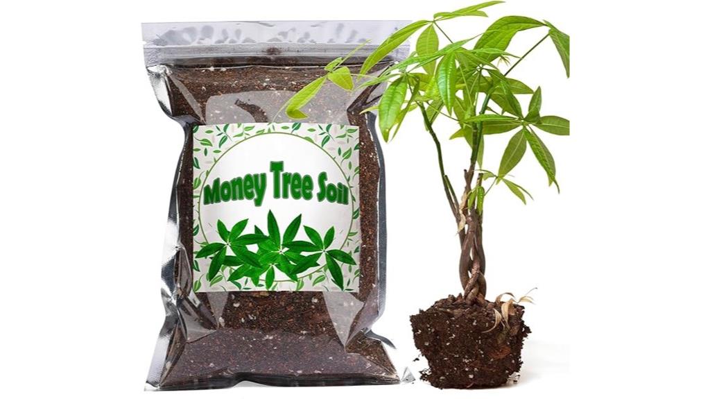 indoor plant soil mix