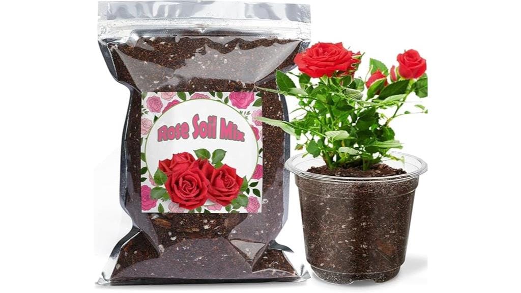 indoor potted plant soil