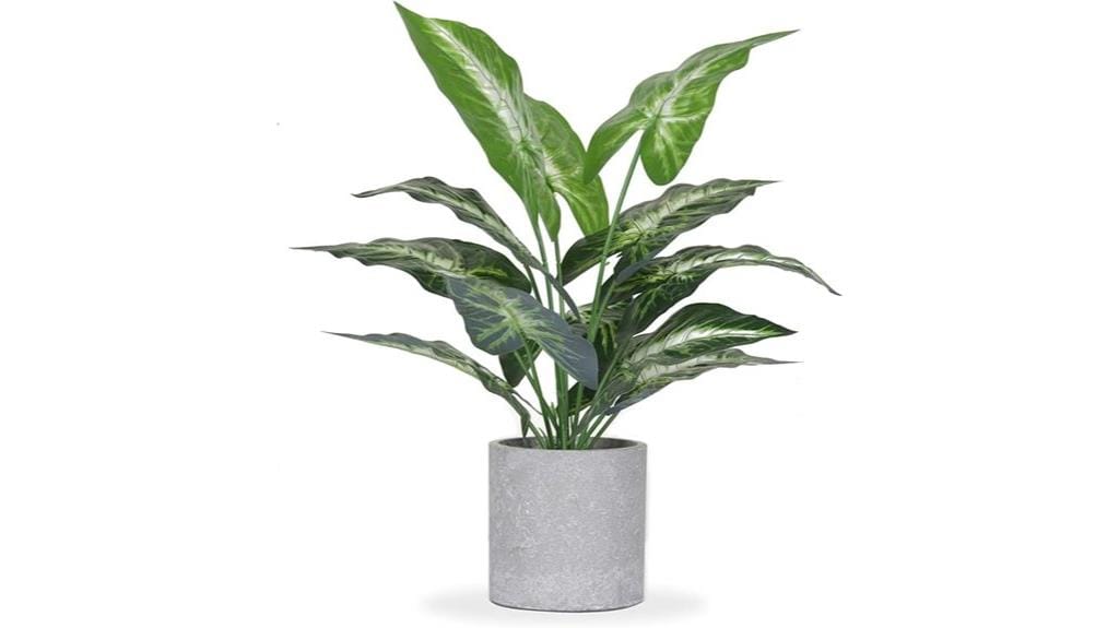 indoor tropical plant decor