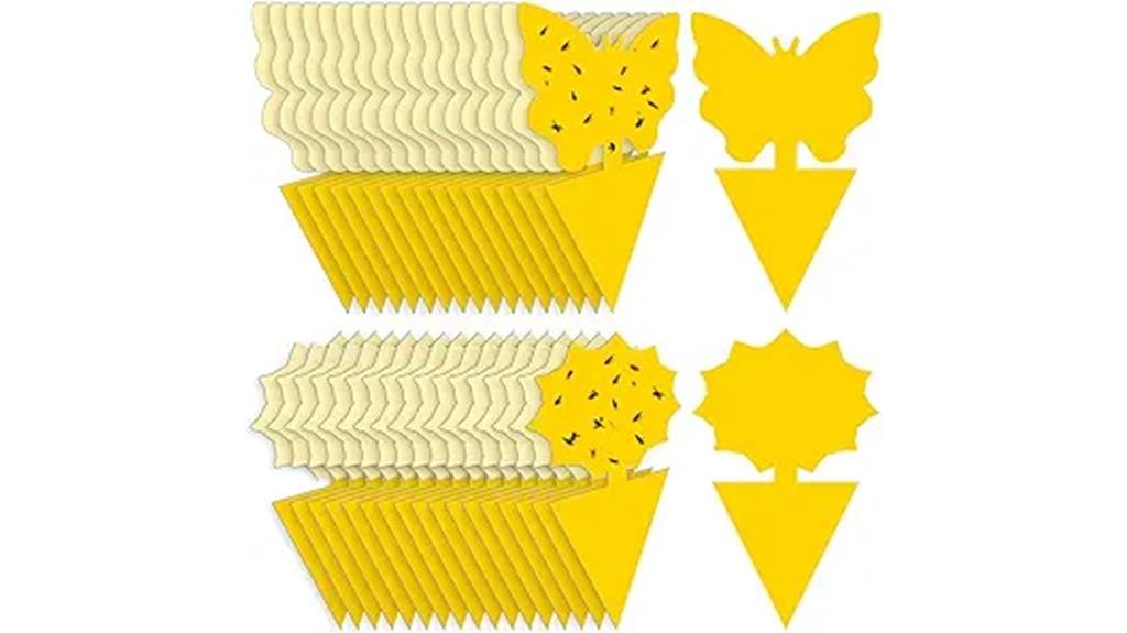 insect traps for pests