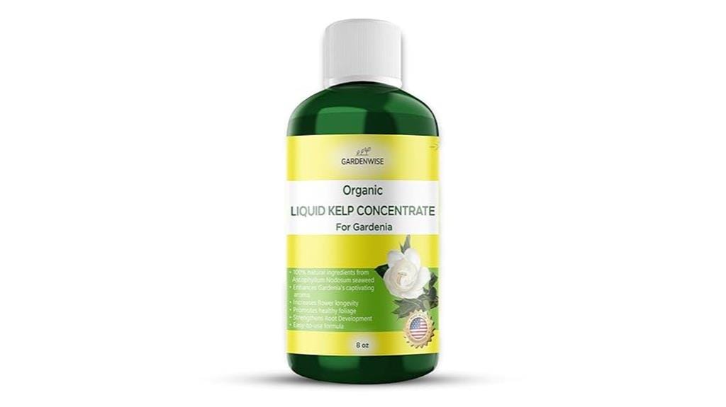 kelp fertilizer for gardenias