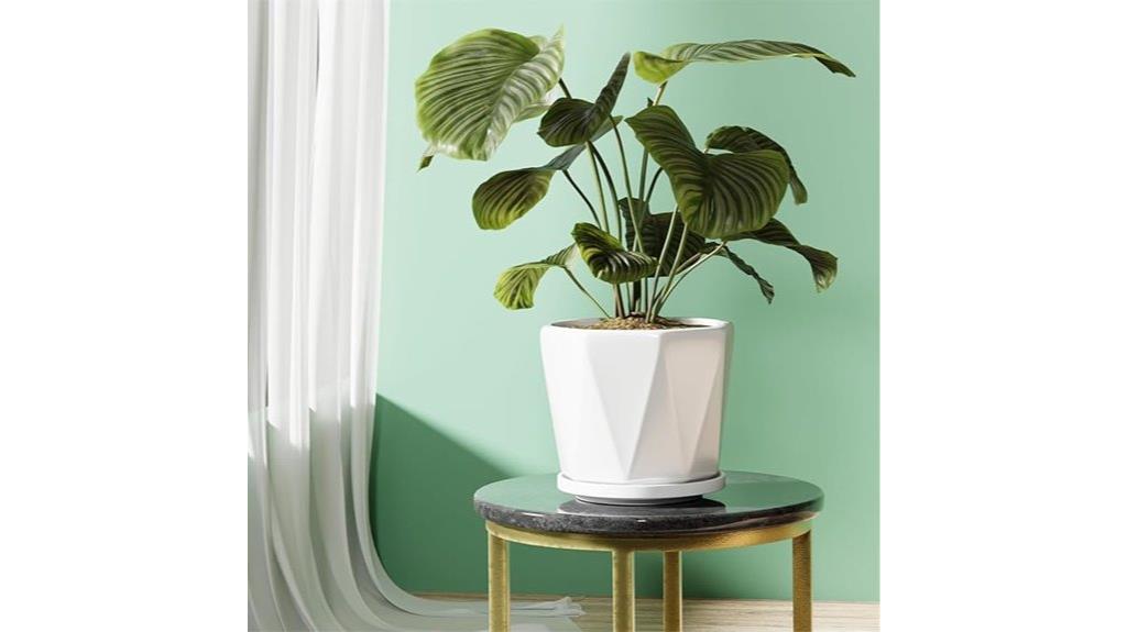 large ceramic plant pots