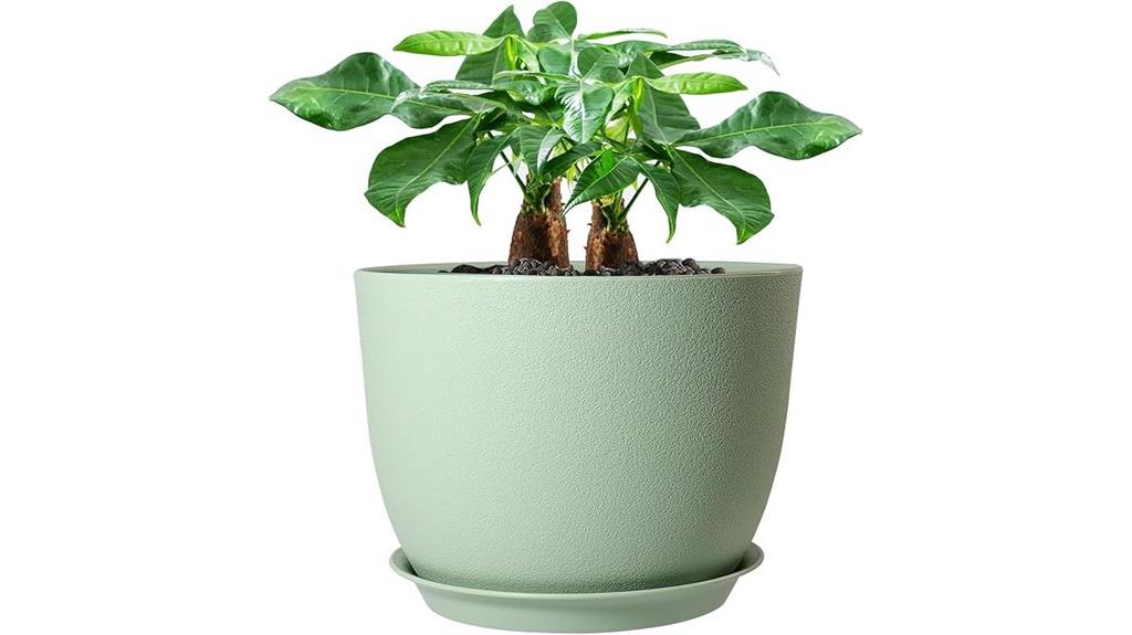 large green plant pot
