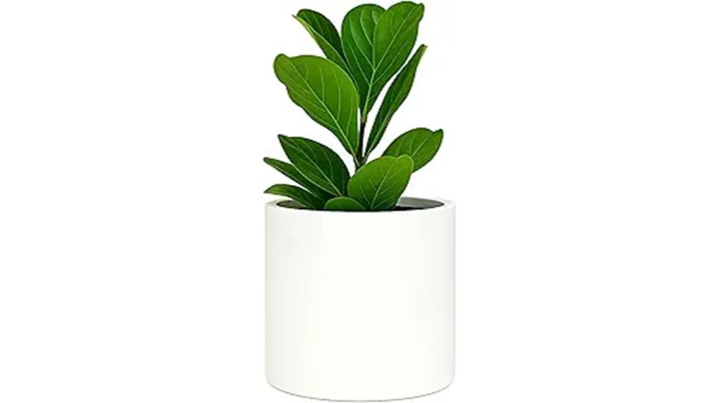 large plant pot with saucer