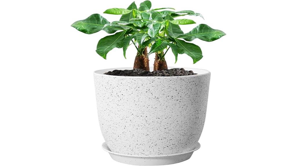large pot with saucer