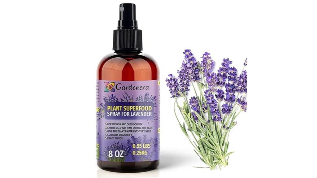 lavender plant superfood formula