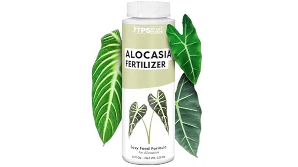 liquid fertilizer for alocasia