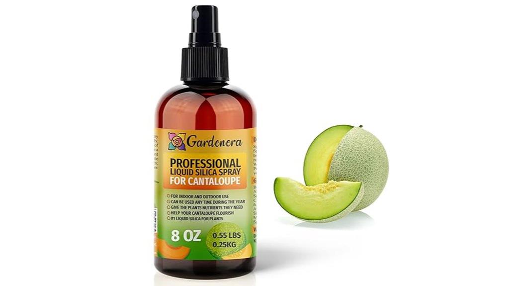 liquid silica fertilizer for cantaloupes