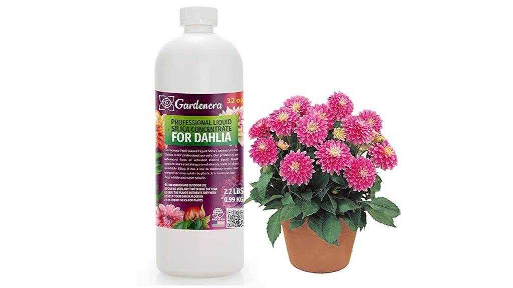 liquid silica for dahlias
