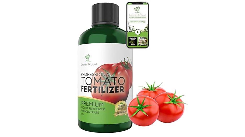 liquid tomato fertilizer concentrate