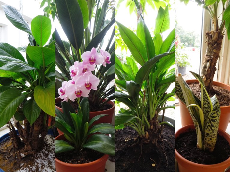 moisture and humidity balance