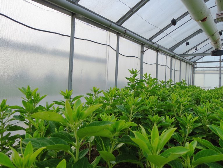 moisture management for prevention