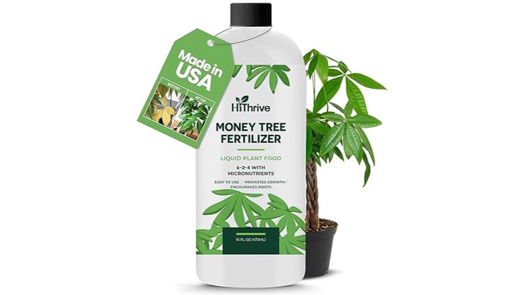 money tree plant fertilizer