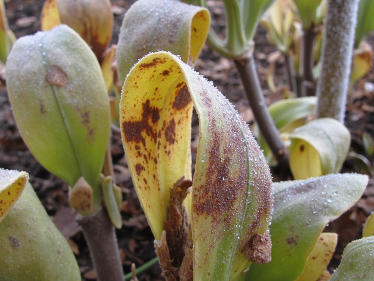 monitoring plant health seasonally