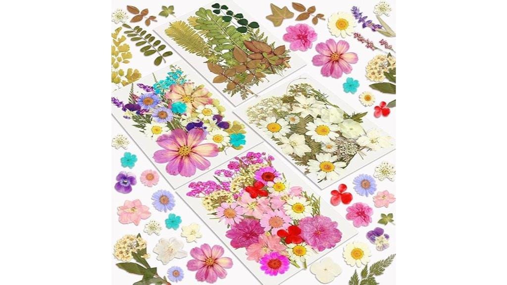 natural dried pressed flowers