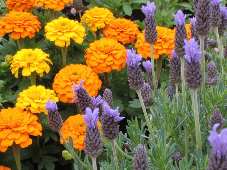 natural insect resistant plants