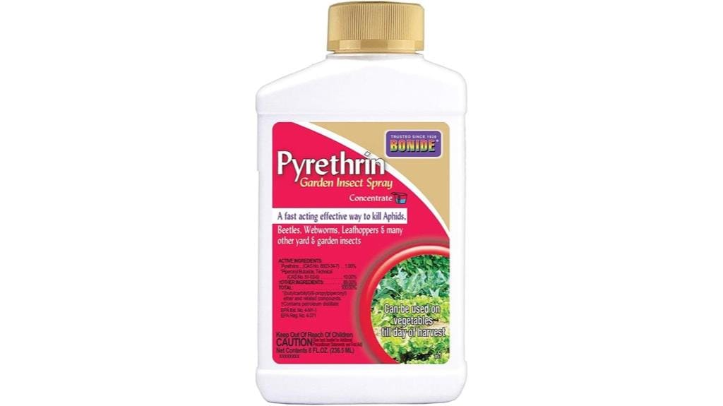 natural insect spray concentrate