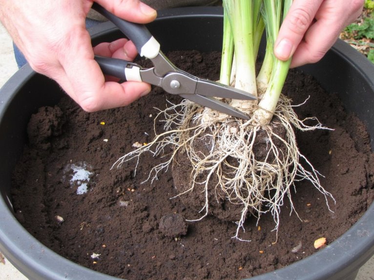 natural root pruning techniques