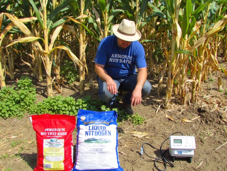 nitrogen fertilizer comparison guide