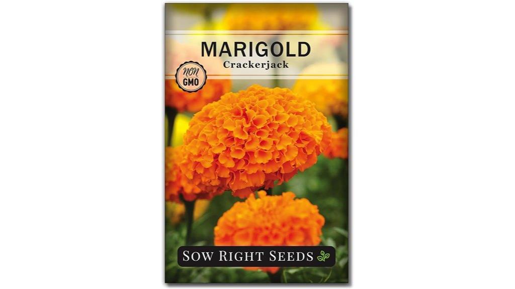 non gmo marigold seeds