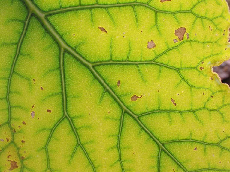 nutrient mobility and symptoms